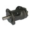 Hydromotor 100 cc as 25