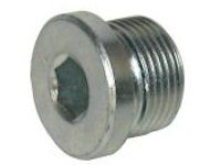 Imbus plug