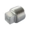 Plug 1" Bu RVS