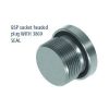 Afstopplug BSP