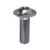Bolkop Imbusbout RVS 6x16